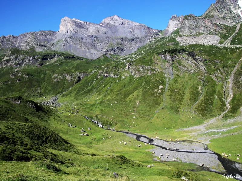 Randonnée RANDO VIA TELESIEGE - Sentier du Soulecou · Aragnouet
