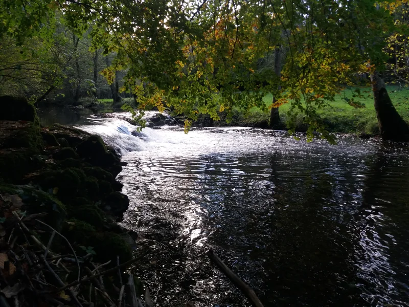 Randonnée Tour de Gouas · Lombrès