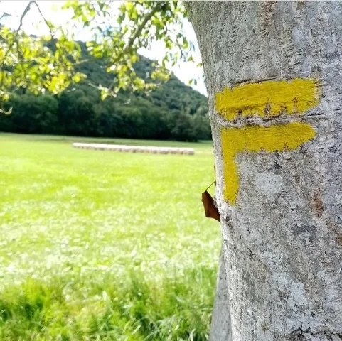 Randonnée Plaine de Lesponne · Aventignan