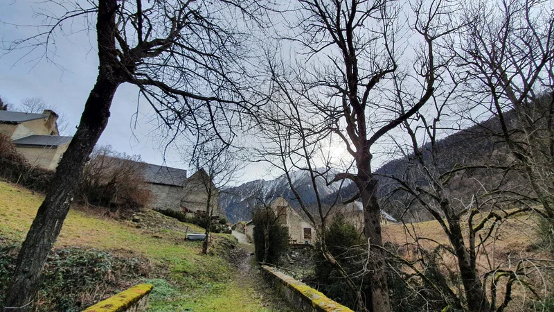 Randonnée RANDO - Chemin des buis · Aragnouet