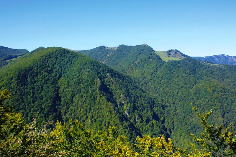 Randonnée Le sentier du Pladi · Saint-Pé-de-Bigorre