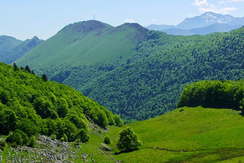 Randonnée Le Col du Prat du Rey · Ségus