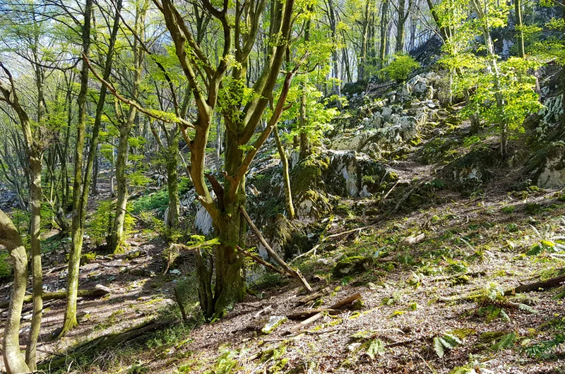 Randonnée Le sentier du Bénac · Saint-Pé-de-Bigorre
