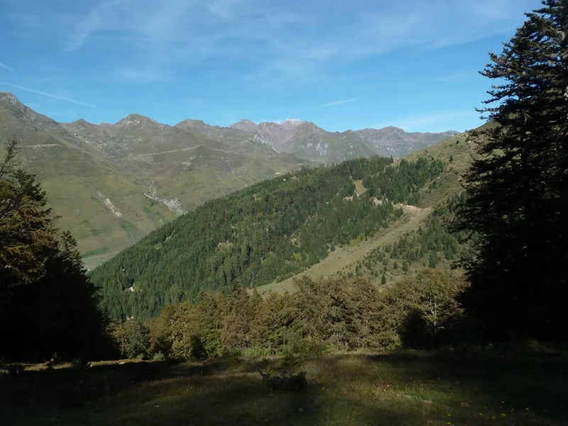 VTT Enduro n°118 - La forêt de l'Ayré · Barèges