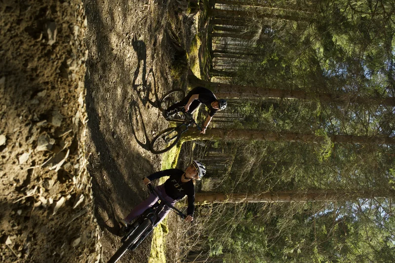 VTT Circuit Enduro E11 - Mirkwood · Beaudéan
