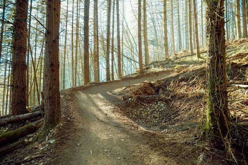 VTT Circuit Enduro B11 Avé César · Pouzac