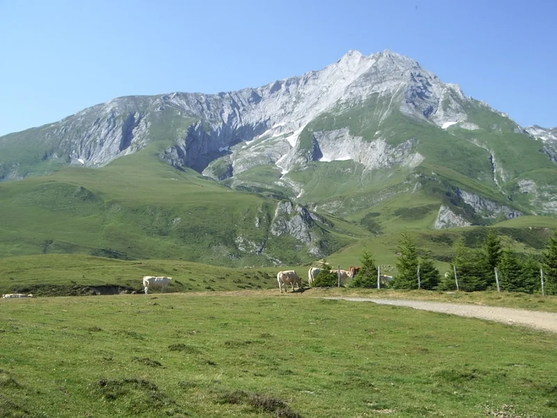 VTT Circuit VTT n°14 - Val d'Azun - Traversée Soulor-Couraduque · Arrens-Marsous