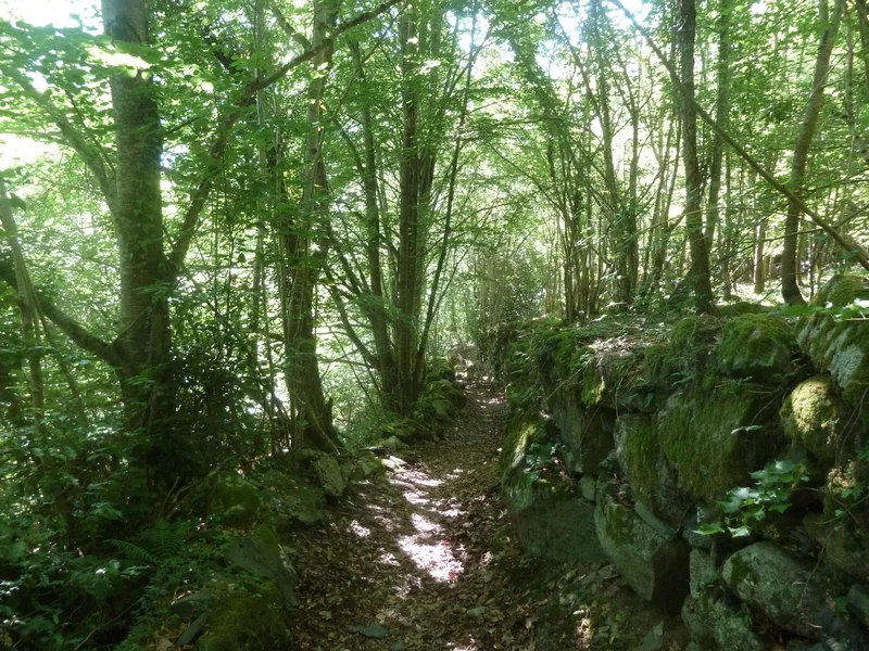 VTT Circuit VTT n°7 - Vallée de Luz - La boucle de Viscos · Argelès-Gazost