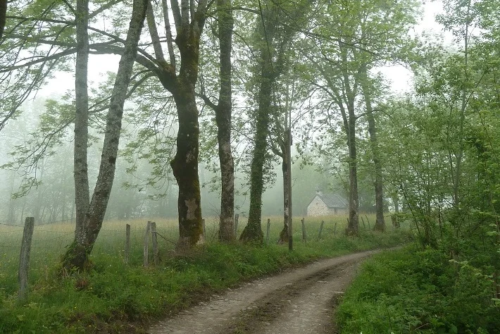 VTT Circuit VTT n°6 - Val d'Azun - La vallée perdue · Arras-en-Lavedan