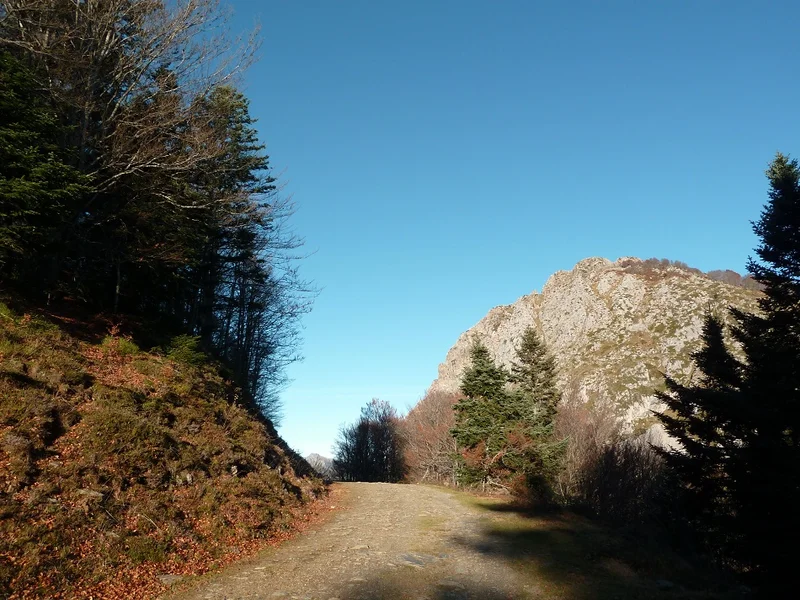 VTT Circuit VTT n°14 - Val d'Azun - Traversée Couraduque-Soulor · Aucun