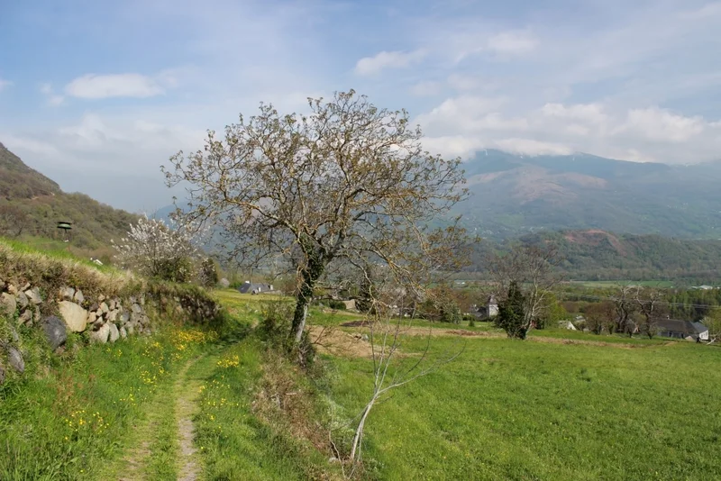 VTT Circuit VTT n°4 - Vallée d'Argelès - L'Extrem de Salles · Lau-Balagnas
