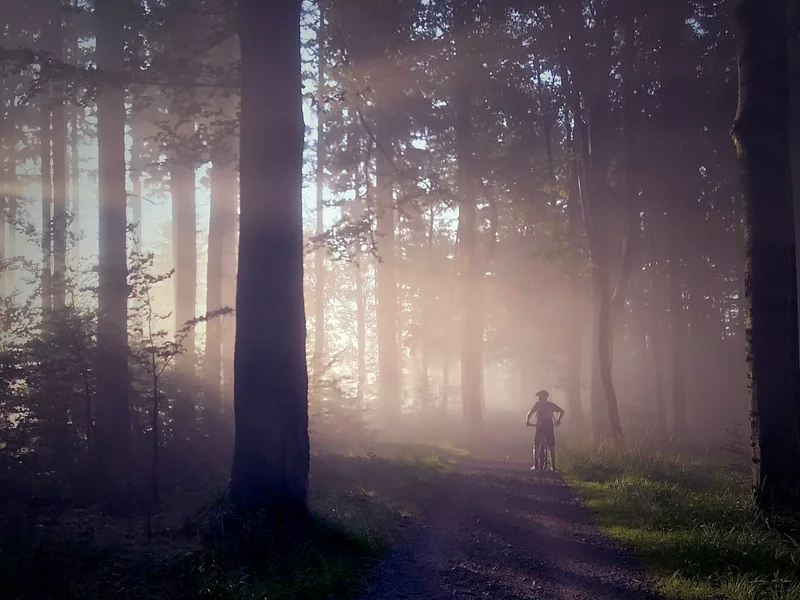 VTT Circuit n°2 - Lourdes - Au fil du Gave · Saint-Pé-de-Bigorre
