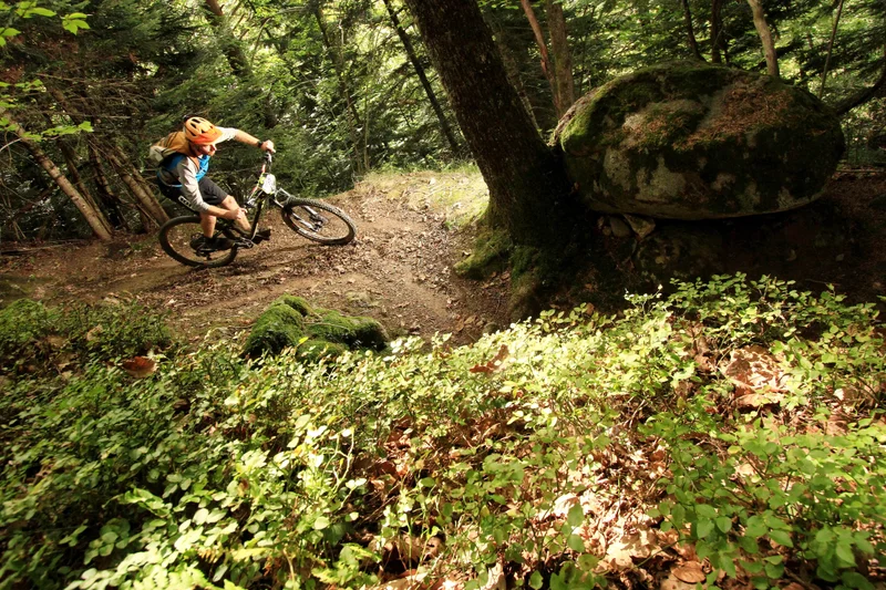 VTT Circuit n°3 - Lourdes - Du bois vers la Mouscle · Saint-Pé-de-Bigorre