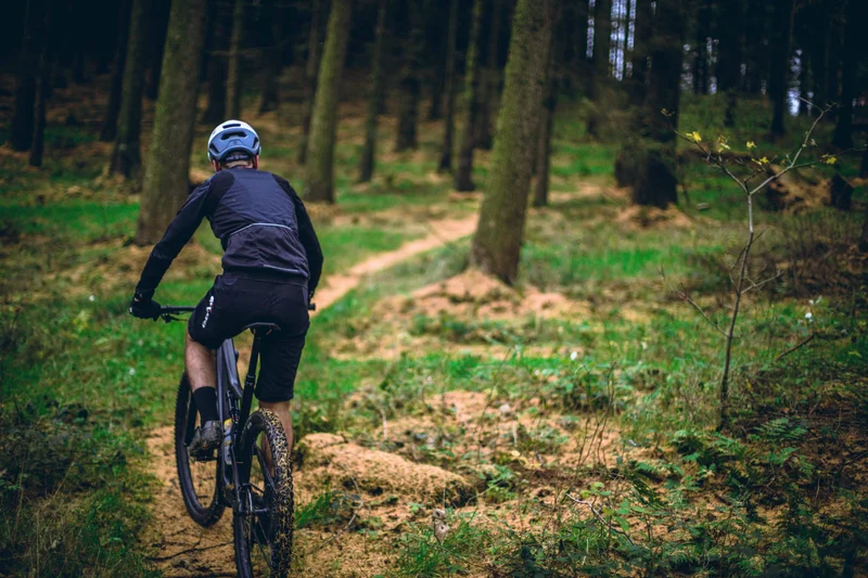 VTT Circuit n°6 - Lourdes - La forêt de Bartrès · Adé