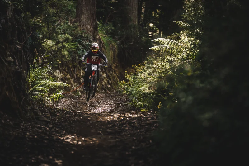 VTT Circuit n°11 - Lourdes - La vallée de l'Ousse · Lourdes