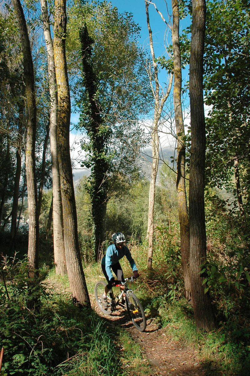 VTT Circuit n°12 - Lourdes- Voie Verte et Sailhets · Lourdes