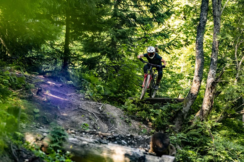 VTT VTT 33 - Goupil · Aragnouet