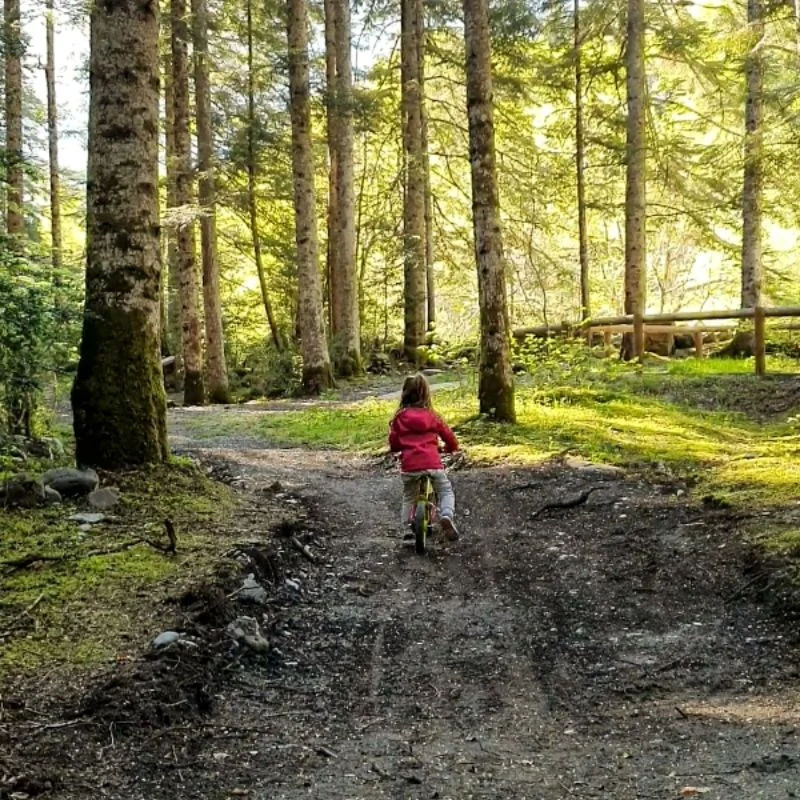 VTT VTT 31 - Draisienne · Aragnouet