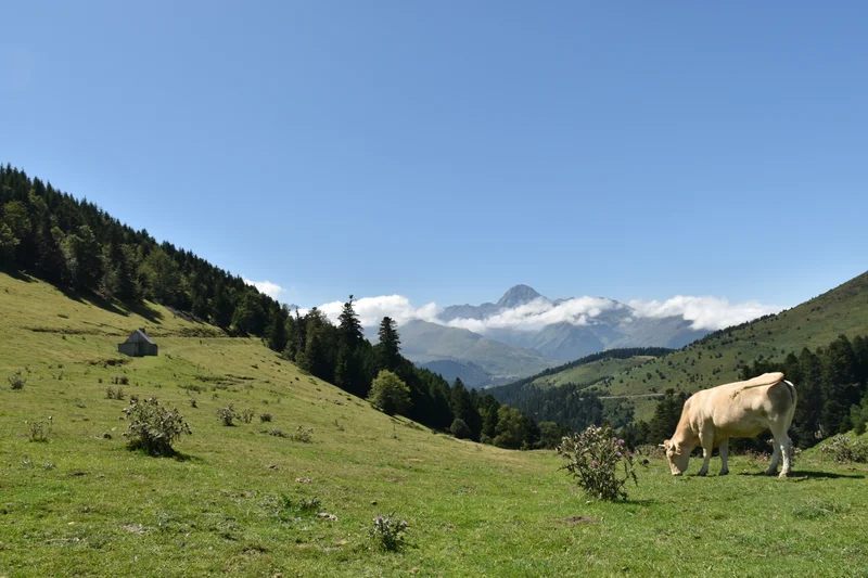 Vélo de route Payolle et le col d'Aspin · Bagnères-de-Bigorre