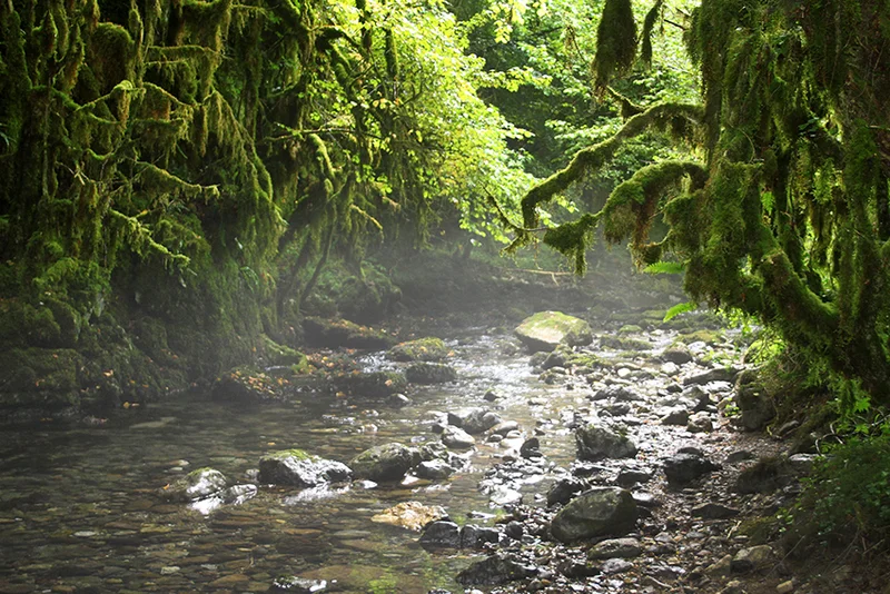 Randonnée Gourgue d'Asque, sentier d'interprétation · Asque