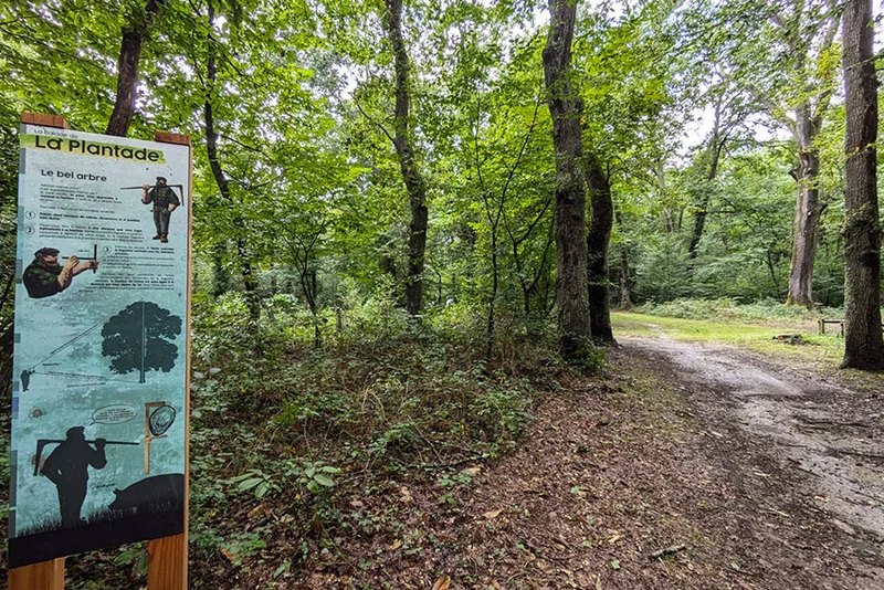 Randonnée Balade de la Plantade, Sentier d'interprétation · La Barthe-de-Neste