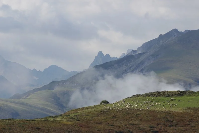 Trail Circuit trail n°28 - Val d'Azun - le Grand Duc · Aucun