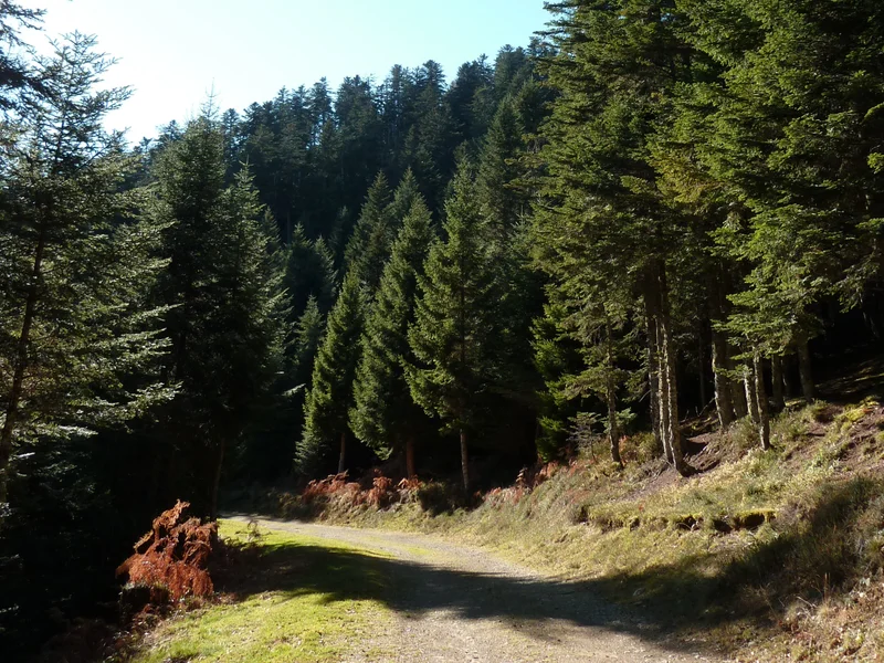 Trail Boucle Initiation Trail Cap de Soc · Aucun