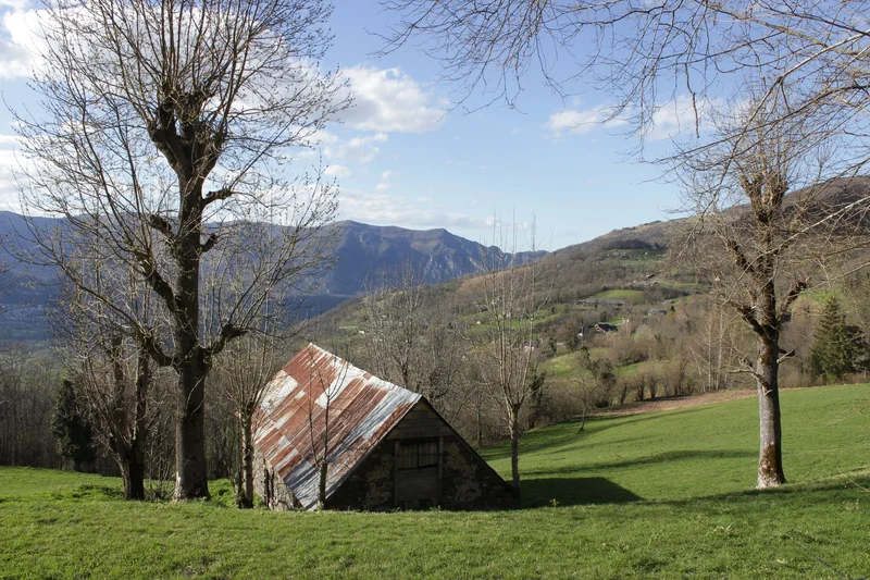 Trail Circuit trail n°1 - Vallée d'Argelès - Les Artigaux · Beaucens