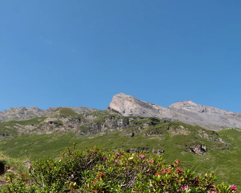 Trail TRAIL 2 - Vallée du Badet · Aragnouet