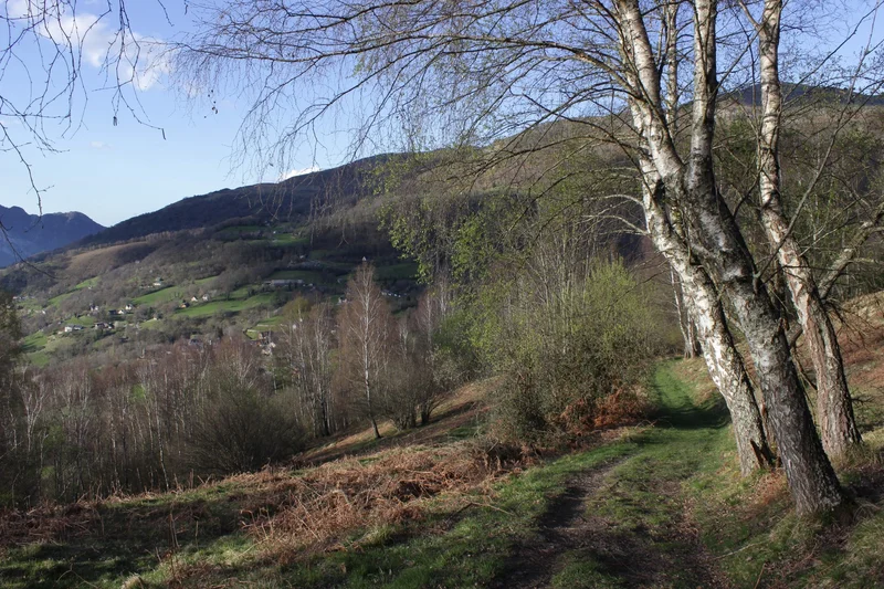 Trail Circuit trail n°2 - Vallée d'Argelès - Cap de Mourquey · Beaucens