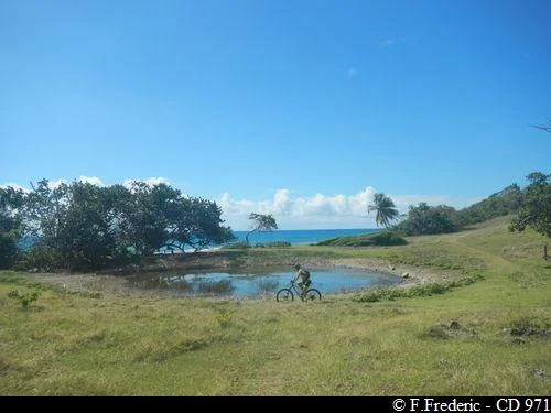 Randonnée Sentier littoral de Saint-Félix · Le Gosier