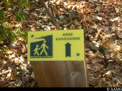 Randonnée Sentier de la Pointe des Châteaux (sud) · Saint-François