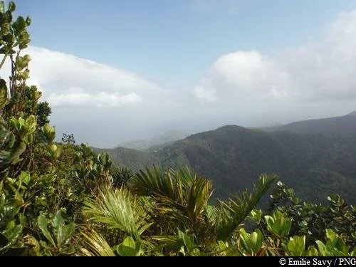 Randonnée Piton Baille-Argent par Belle Hôtesse · Pointe-Noire
