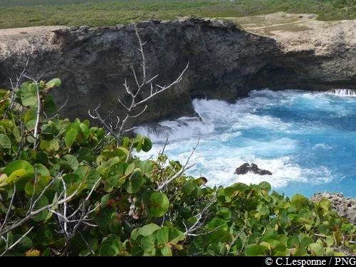 Randonnée Trace des Falaises (BNGT 3) · Anse-Bertrand