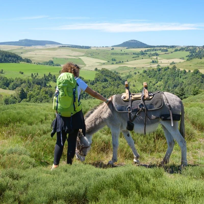 Randonnée GR70 Le Chemin de Stevenson · Le Puy-en-Velay