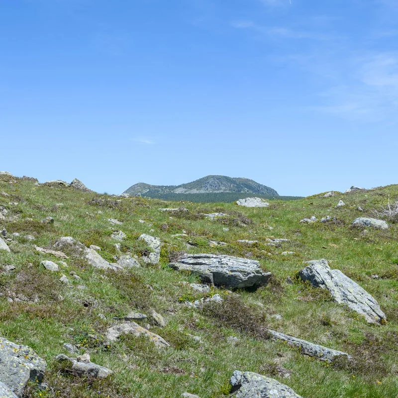 Randonnée GR7 La Traversée du Massif central par les Parcs · Riotord