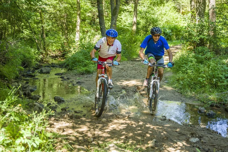 VTT Aux frontières du 43 · La Tour