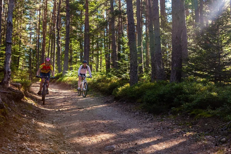 VTT 65 - Les Trois Ponts · Montregard