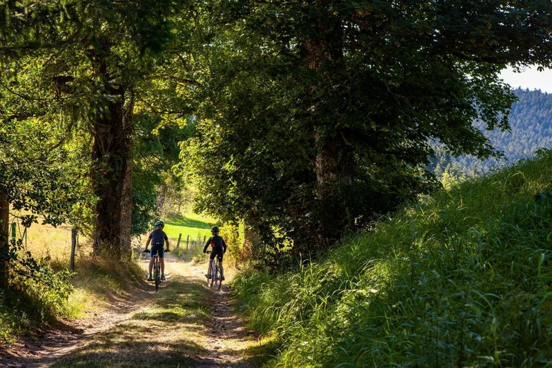 VTT 62-  La Saint-Bonnette · Saint-Bonnet-le-Froid