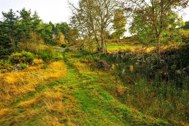 VTT Les villages du plateau · Chomelix