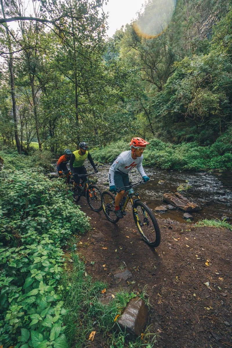 VTT Bois multiples · Craponne-sur-Arzon