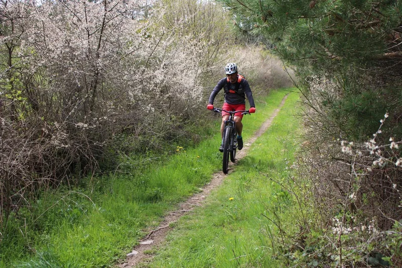 VTT Détour en sous bois à travers les Roches · Fay-sur-Lignon