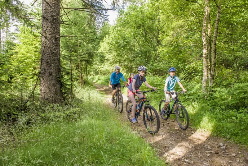 VTT 2 - Le Bois de Peybrousson · Le Chambon-sur-Lignon