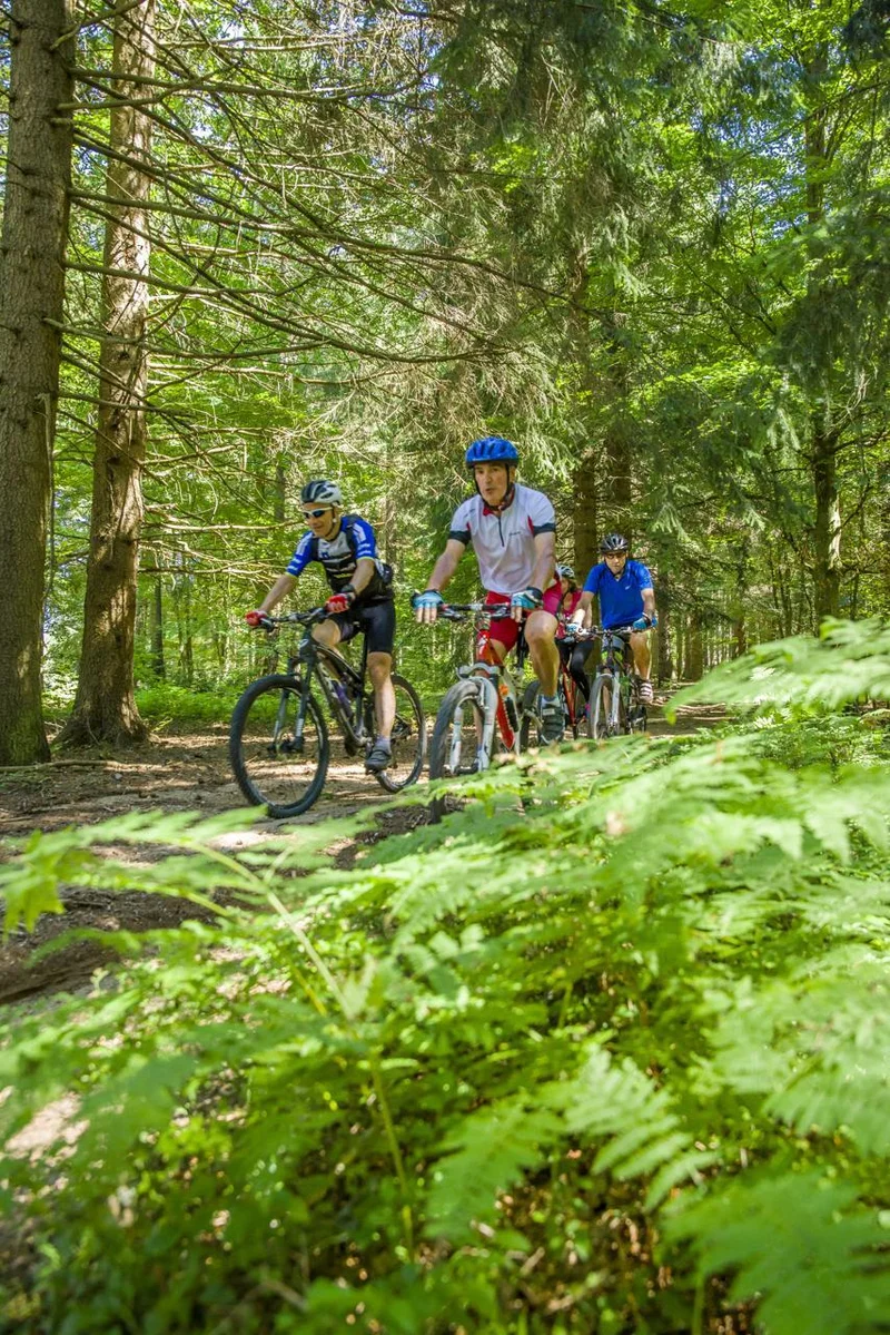 VTT 6 - Vers le Pont de Mars · Le Chambon-sur-Lignon