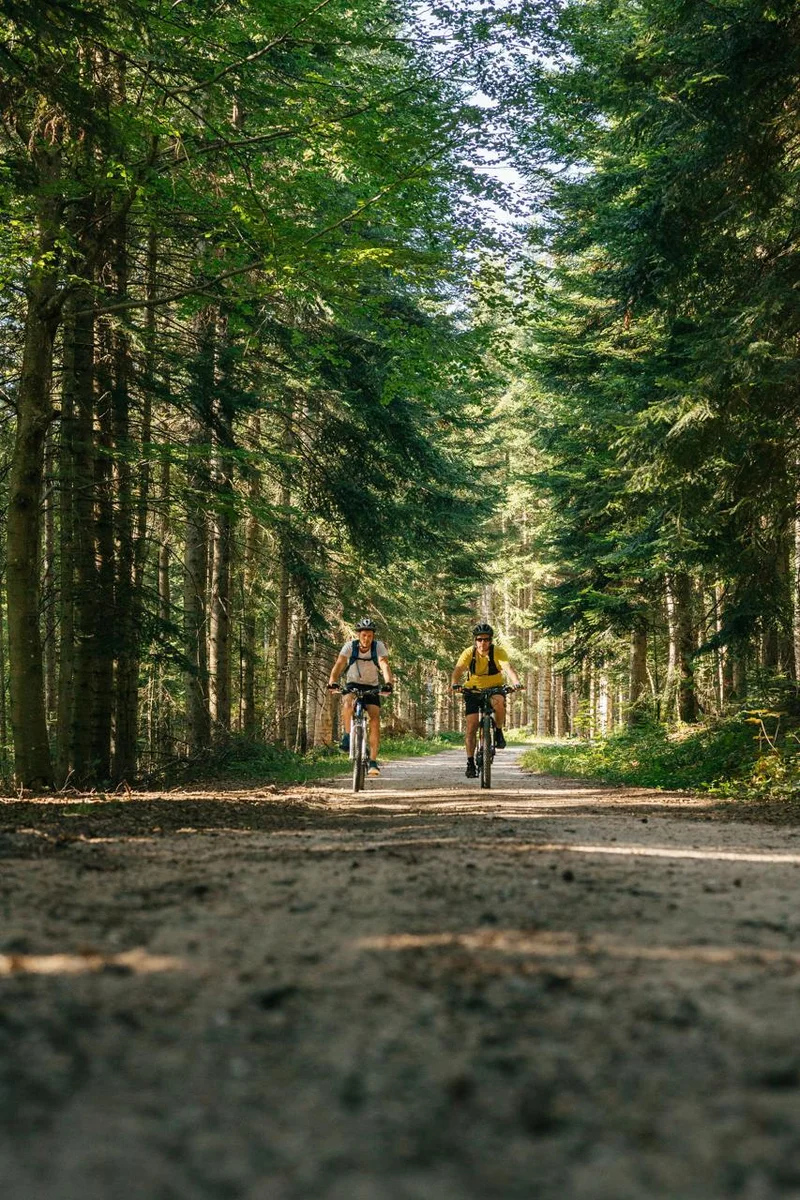VTT 12 - La Roche Druidique de Crouzilhac · Tence