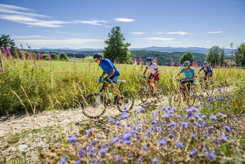VTT 14 - Vers le Mas-de-Tence · Tence