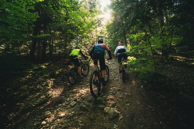 VTT 158 - La Forêt du Devès (balisagen°7) · Cayres