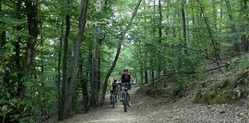 VTT 87 - Le tour au Galop · Saint-Victor-Malescours