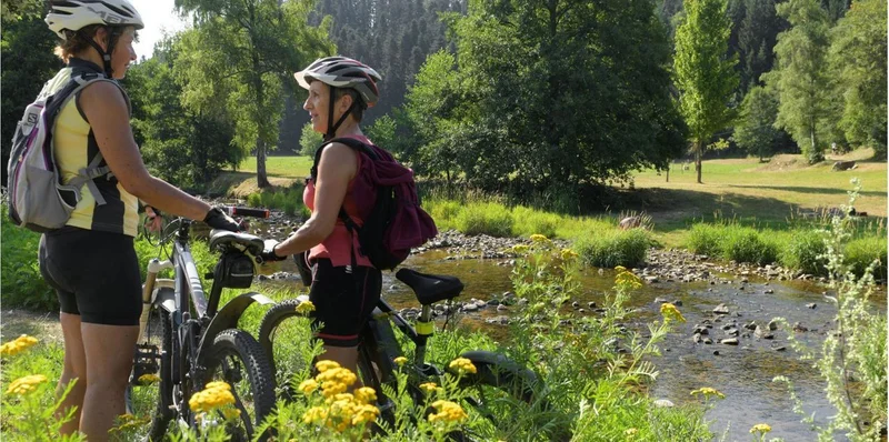 VTT 90 - La Selva · La Séauve-sur-Semène