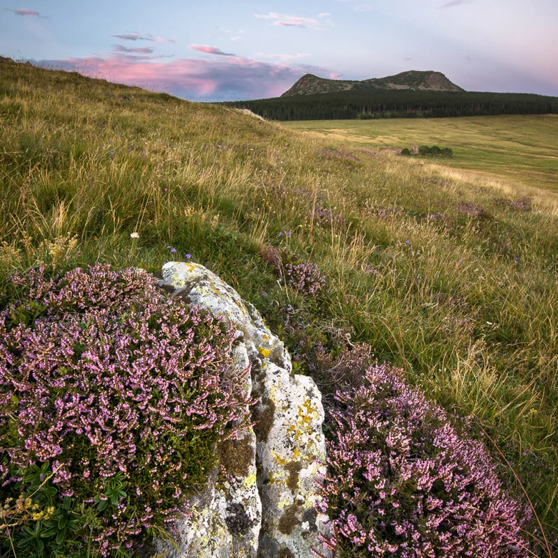 Randonnée PR484 Le tour du mont Mézenc · Les Estables